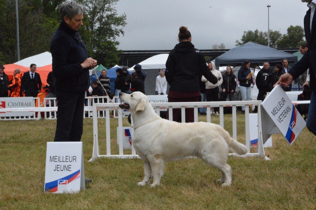 Ashbury - CHAMPIONNAT DE FRANCE 2024 