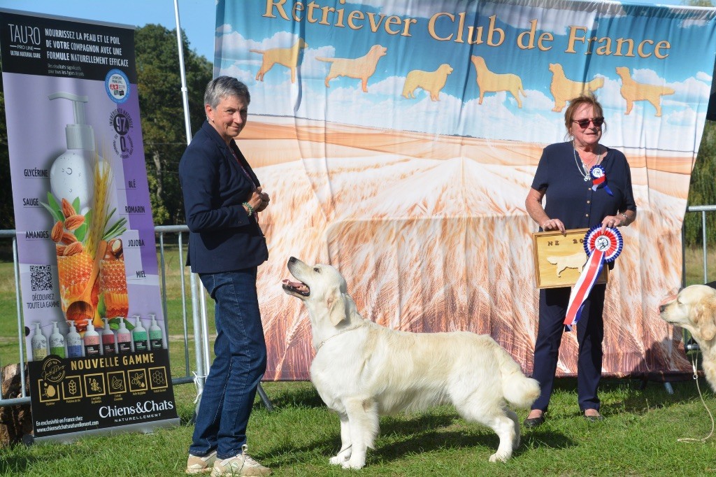 Ashbury - Wim devient CHAMPION SUISSE des Expositions 
